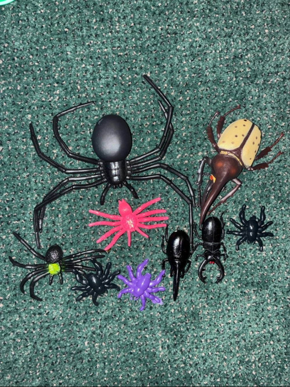 Toy Spider & Beetle 10 pc Bundle
